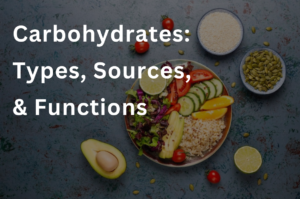 Carbohydrates: Types, Sources, & Functions