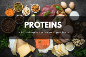 Protein
